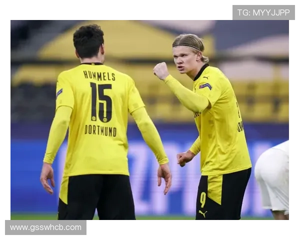 德甲标王诞生：转会费纪录刷新引关注