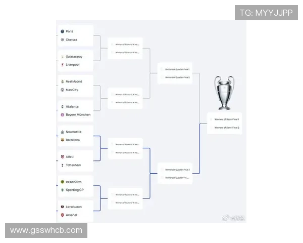 欧联杯冠军奖金数额及分配机制解析