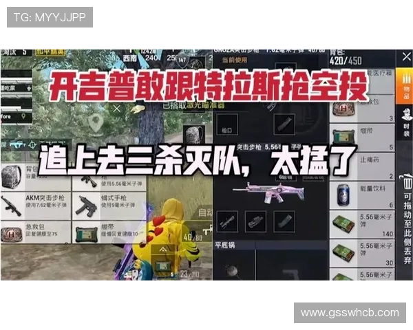 特温逼抢体系 特温逼抢体系