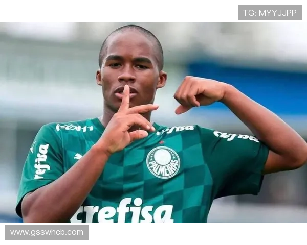 帕尔梅拉斯爆发赛季：恩德里克如何打出惊艳表现